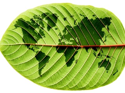 Seriøs bæredygtighed i et globalt&nbsp;perspektiv