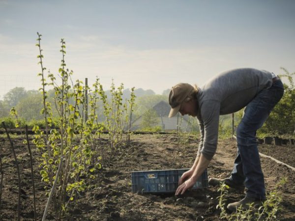 Erfaringer fra Langeland&nbsp;projektet